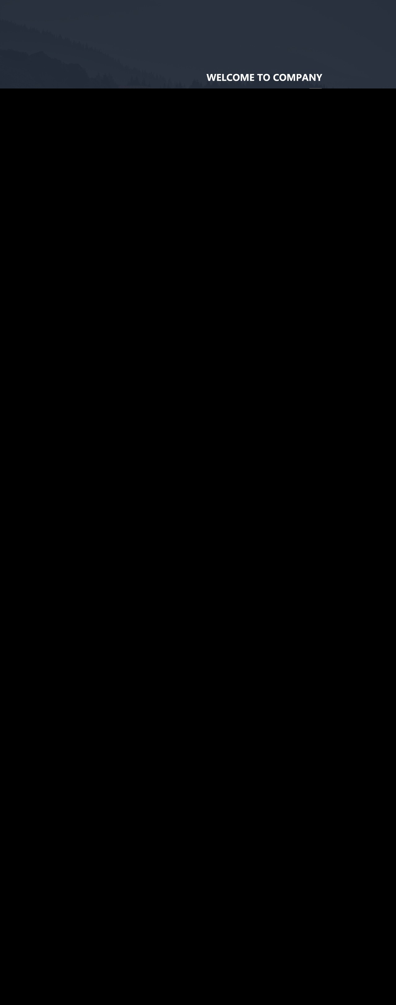 專業(yè)設(shè)計(jì)服務(wù)，為企業(yè)打造獨(dú)特網(wǎng)頁形象